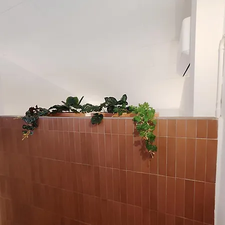 Apartment Mazi Placa Gran